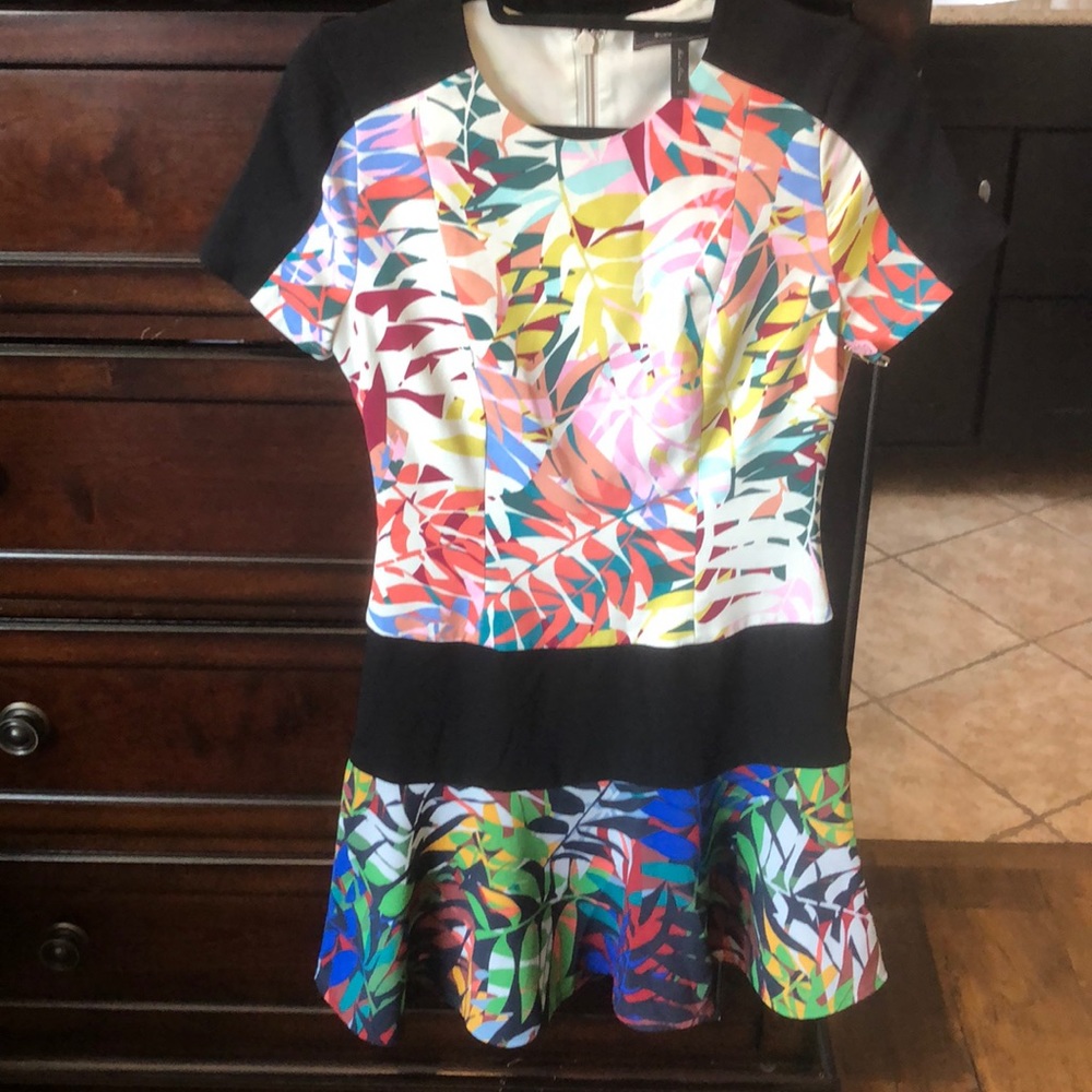 BCBG Maxazria Dress